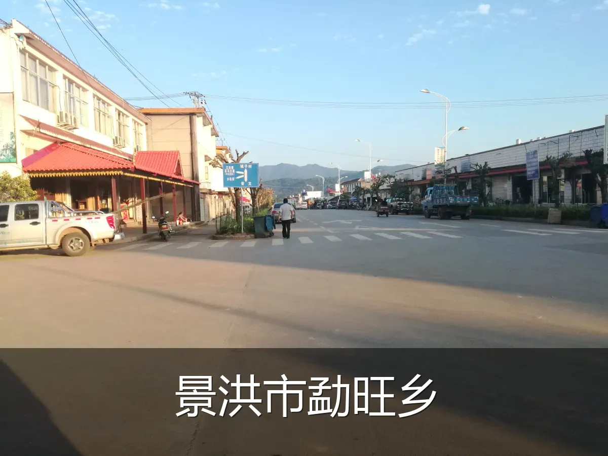 景洪市勐旺乡