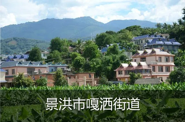 景洪市嘎洒街道