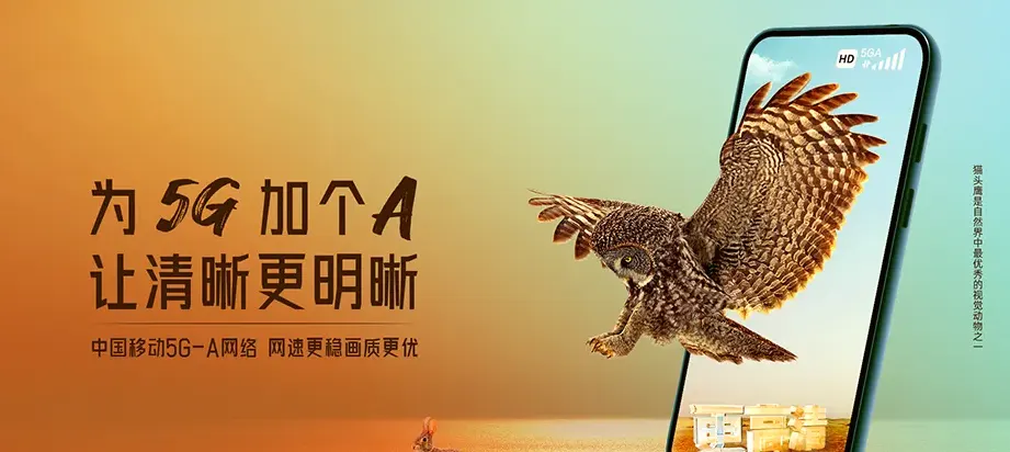 景洪市景洪市勐罕镇 移动宽带