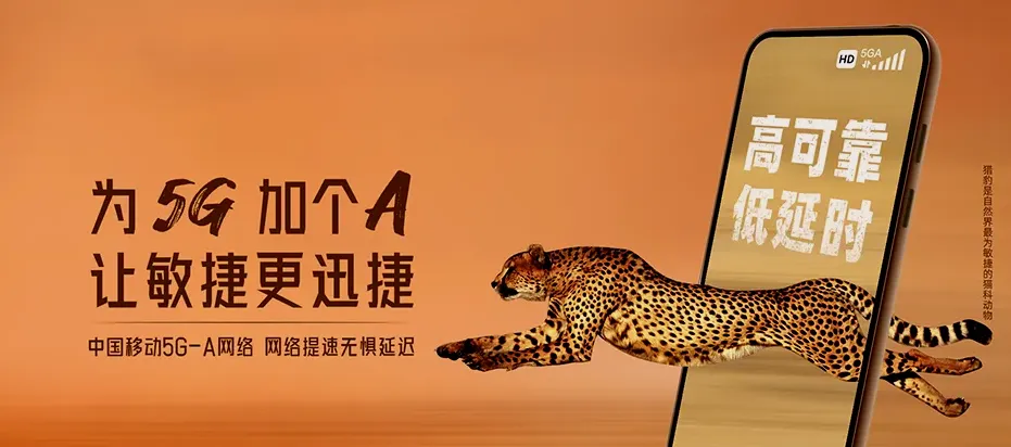 景洪市景洪市勐养镇 移动宽带