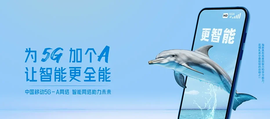 景洪市景洪市西双版纳监狱 移动宽带
